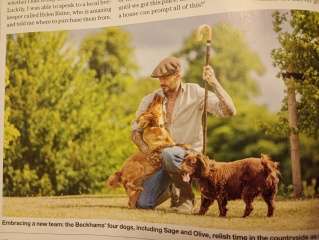 To want a Country Living lifestyle?