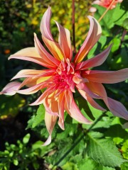 Year round Nigel Slater discussion thread Part 2