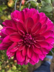 Year round Nigel Slater discussion thread Part 2