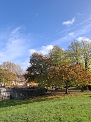 The Nigel Slater Christmas Chronicles Readalong 2025