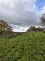 The Nigel Slater Christmas Chronicles Readalong 2025