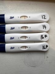 TTC Baby #3 Not our first rodeo 🤠