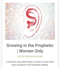 Mosque in uber-liberal London enclave bans all females over 12 from charity park run...