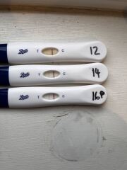 POAS come on you rainbows