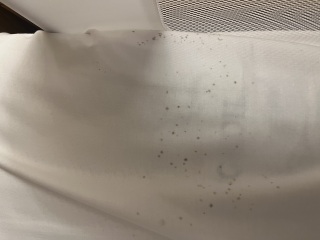 Urgent advise needed- is this bed bugs?