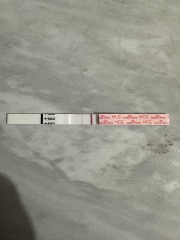 12dpo tests