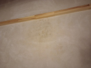 Is there anything else I can try on this vomit stain?