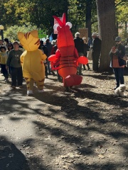 The Bluestocking, where the short days shorten and the oaks are brown