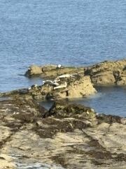 Year round Nigel Slater discussion thread Part 2