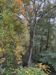 Come and tell us your dull and unexciting news 34: Calmly through the day