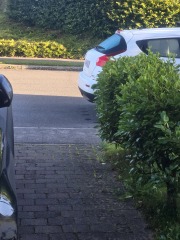 Dropped kerbs - how do you park?