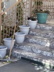 Scottish Tourism - the Excellent Cats debate Gizmo's suitability as a top influencer
