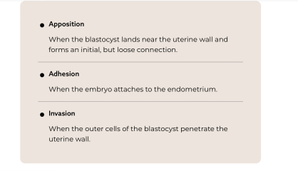 IVF 6dp5dt - possibly positive (or trigger?)