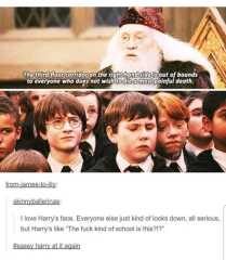 To feel sorry for the Slytherins?