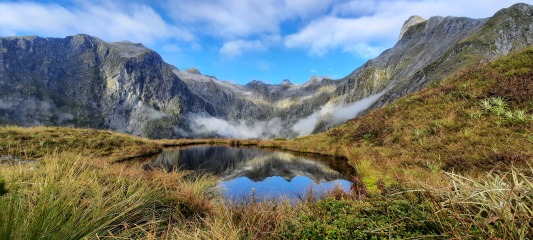 I have lived and worked in New Zealand for 20 years - AMA