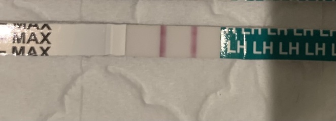 Day 33 of cycle. Any idea what kind of discharge this is.