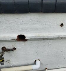 Holes in external walls from old pipes