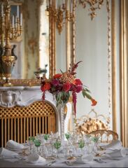 Royal Style: Stilettos or kittens? More royal style and beauty chat.