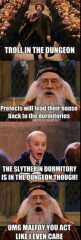 To feel sorry for the Slytherins?