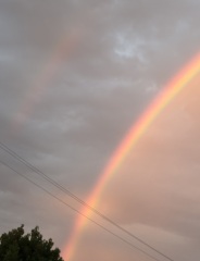 Come and tell us your dull and unexciting news 34: Calmly through the day