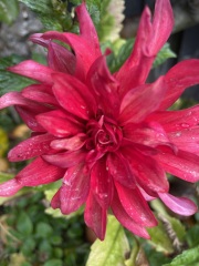 Year round Nigel Slater discussion thread Part 2