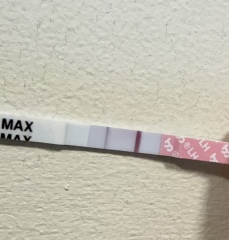 Ovulation test skinny line