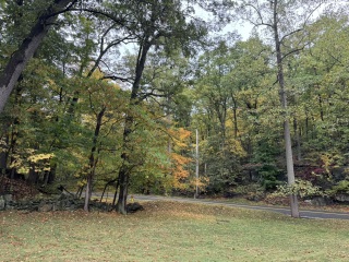 Come and tell us your dull and unexciting news 34: Calmly through the day