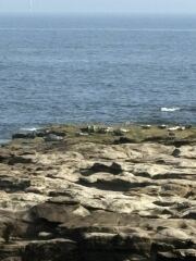 Year round Nigel Slater discussion thread Part 2