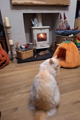 Year round Nigel Slater discussion thread Part 2