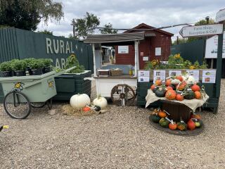 The Nigel Slater Christmas Chronicles Readalong 2025