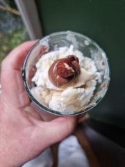 Meal planning, sharing recipes and ideas to make the weekly budget go further.