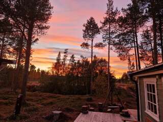 Year round Nigel Slater discussion thread Part 2