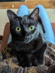 Help me name my cat, please!
