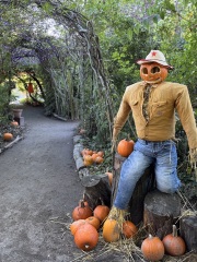 Come and tell us your dull and unexciting news 34: Calmly through the day