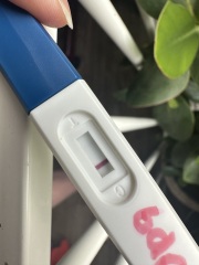 Coming to terms with egg donation