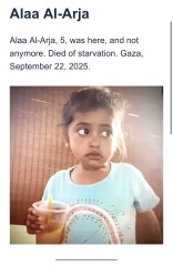 Why would would you still have pro Palestinian marches apart from now instilling more fear into the Jewish community