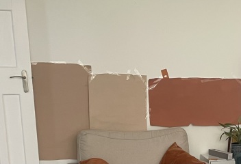 Which paint for living room? Little Greene Masquerade, F&B Setting Plaster or F&B Red Earth?