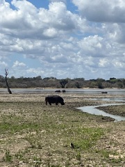Tanzania safari & Zanzibar