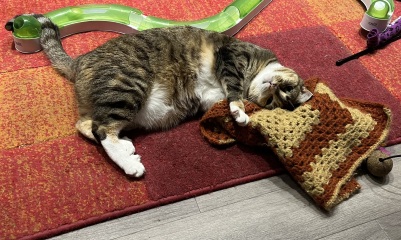 Scottish Tourism - the Excellent Cats debate Gizmo's suitability as a top influencer
