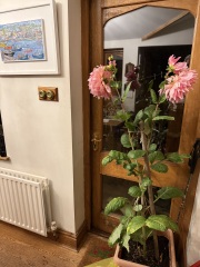 Year round Nigel Slater discussion thread Part 2