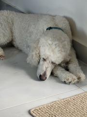 Could you cope with twin beds for one night?