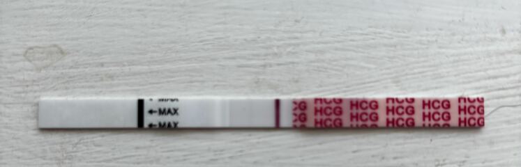 October 2025  - Halloween 🎃, colder weather and hoping for our BFP’s