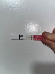 Good line progression?