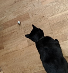 Kelly v Leonardo Employment Tribunal Thread 2