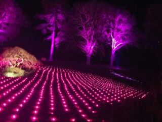 Magical Christmas experience to help phase out Father Christmas visit for older primary school aged kids?
