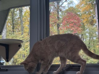 Come and tell us your dull and unexciting news 34: Calmly through the day