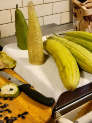 The Vegetable Patch 2024/2025