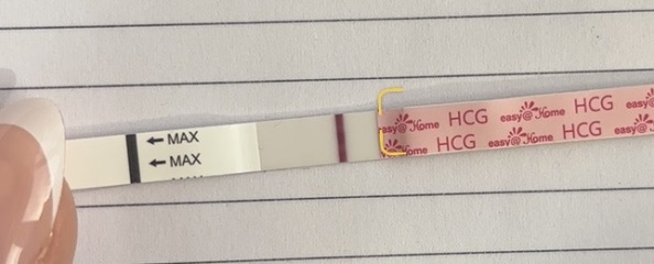 13dpo are these lines too faint?