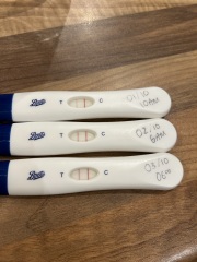 Chemical in March, 10dpo tests