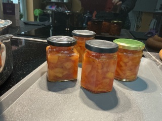 The Nigel Slater Christmas Chronicles Readalong 2025